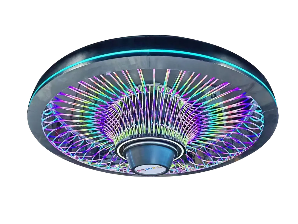 Ceiling feature D03